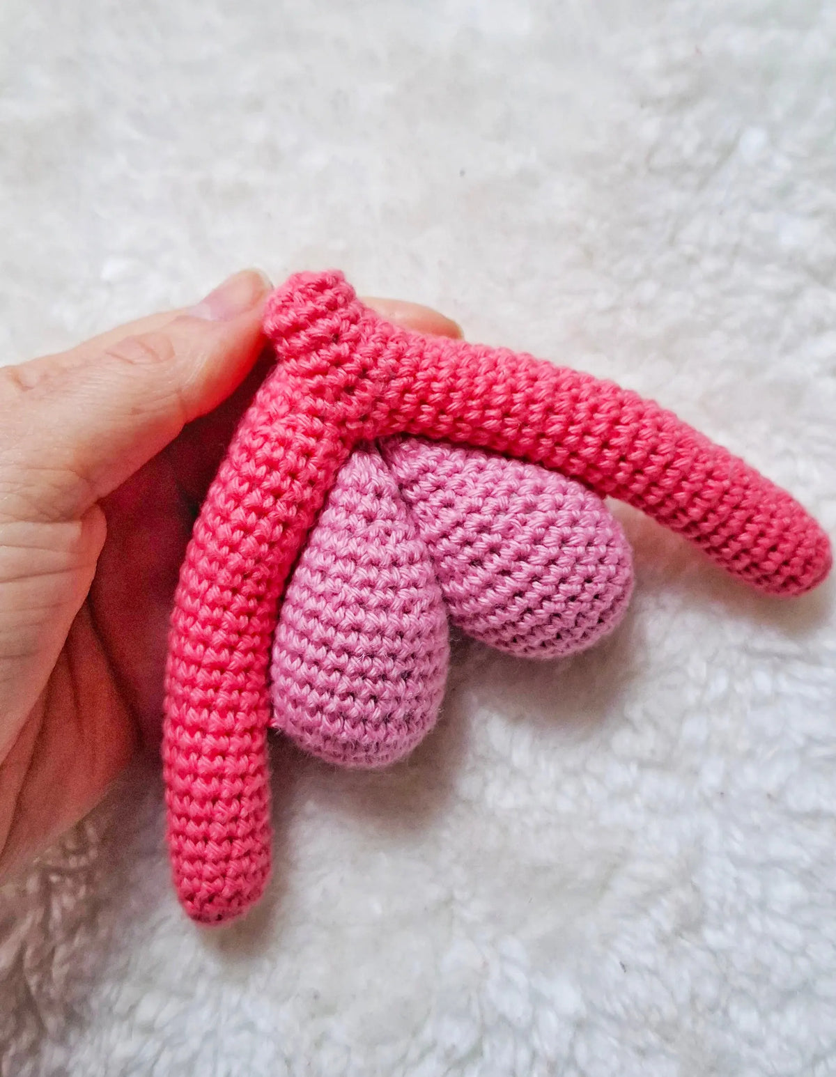 Padrão de crochet PDF do Sistema Reprodutor Feminino em amigurumi - modelo anatômico educativo detalhado