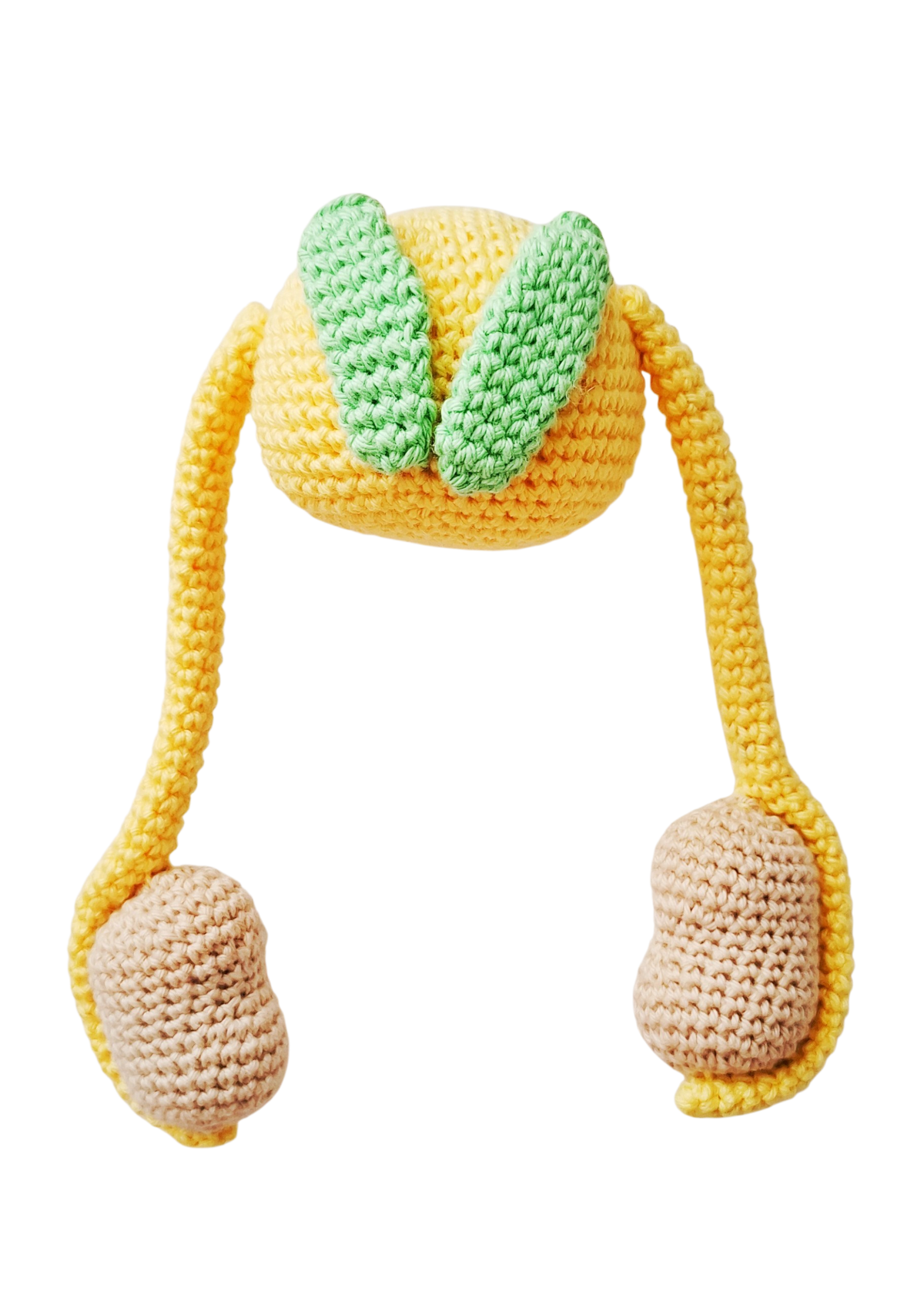 Bexiga em crochet educativo