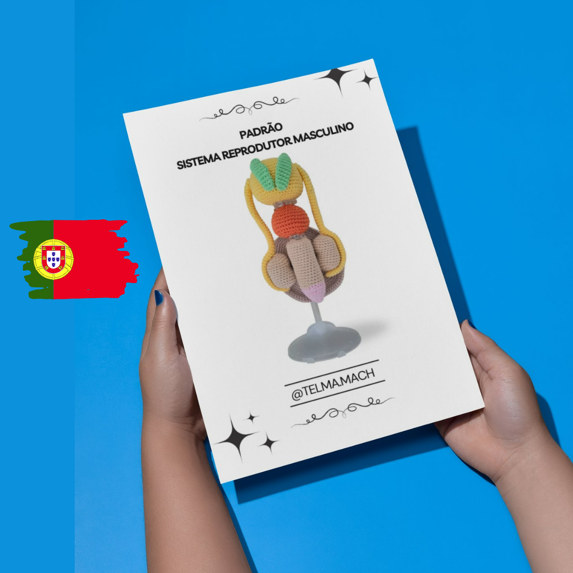 Padrão PDF de anatomia em crochet